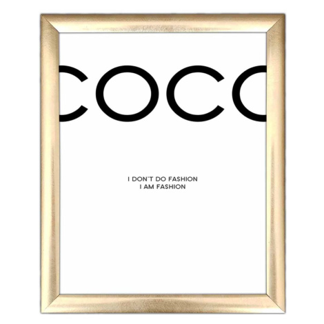 Nástěnný obraz Coco 23,5x28,5 cm bílý