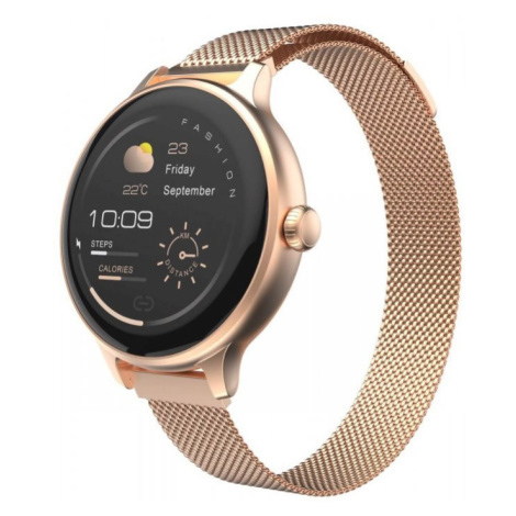 CARNEO Hero mini HR+/Rose Gold/Elegant Band/Rose Gold