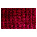 Koupelnová předložka Ella micro červená - 50x80 cm BO-MA koberce