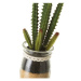 Umelé rastliny v súprave 4 ks (výška  18 cm) Cactus – Casa Selección