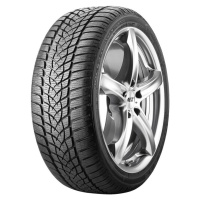 Goodyear UltraGrip Performance 2 ( 205/60 R16 92H * )