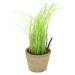 Umelá rastlina (výška 27 cm) Chives – Esschert Design