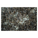 Kusový koberec Pearl Brown Rozmery kobercov: 200x290