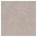 Biophilic grey  60x60 8,5MM GRIP