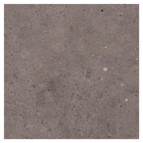 Biophilic dark grey  60x60 8,5MM GRIP Pastorelli