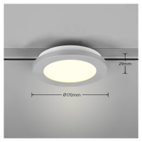 LED stropné svietidlo Camillus DUOline, Ø 17 cm, titán