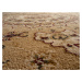 Kusový koberec Salyut beige 1566 A - 200x290 cm Spoltex koberce Liberec