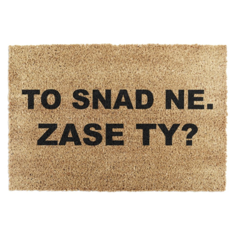 Rohožka z kokosového vlákna 40x60 cm Zase Ty? – Artsy Doormats