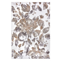 Sivo-hnedý koberec 200x280 cm Shine Floral – Hanse Home