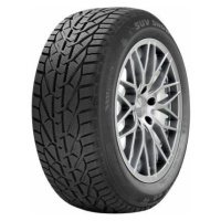 Riken SNOW 205/60 R17 93H