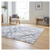 Svetlosivý koberec 120x170 cm Artemis – Think Rugs