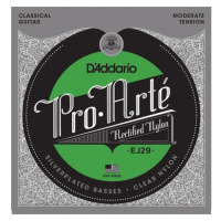 D'Addario EJ29