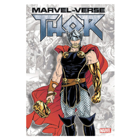 Marvel Marvel-Verse: Thor