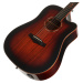 Tanglewood TWX 5 CE K