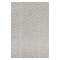 Svetlosivý koberec 160x230 cm Muse – Asiatic Carpets