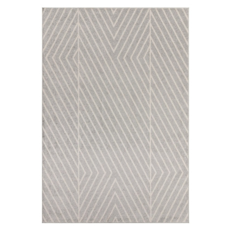 Svetlosivý koberec 160x230 cm Muse – Asiatic Carpets