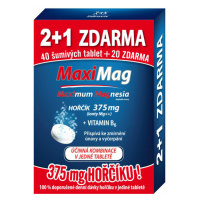 MAXIMAG Horčík 375 mg + vitamín B6 60 šumivých tabliet