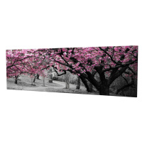 Obraz na plátne Cherry tree alley PC017 30x80 cm