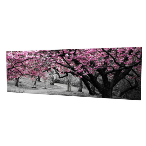 Obraz na plátne Cherry tree alley PC017 30x80 cm