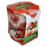 MAKRO - Sviečka v skle Cranberry