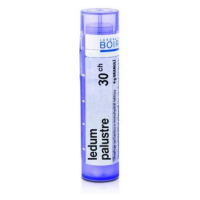 BOIRON Ledum palustre CH30 4 g