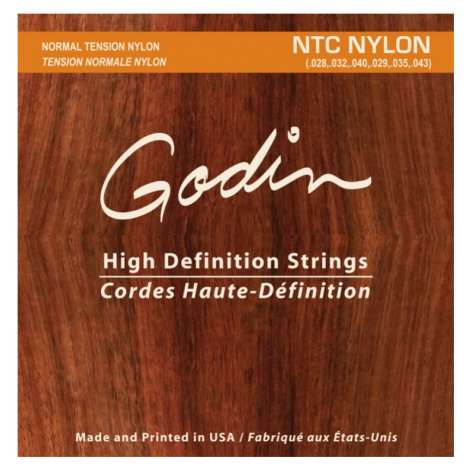 Godin Nylon Normal Tension