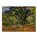 Reprodukcia obrazu Claude Monet - The Bodmer Oak, Fontainebleau Forest, 70 × 50 cm