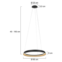 Závesné svietidlo Ringlux LED, 1 svetlo, čierna farba, kov