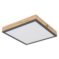 XXXL STROPNÉ LED SVIETIDLO, 30/30/6 cm