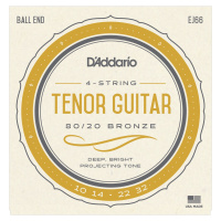 D'Addario EJ66