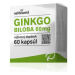 nefdesanté GINKGO BILOBA 60 mg 60 cps