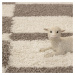 Kusový koberec Gala 2505 beige Rozmery koberca: 240x340