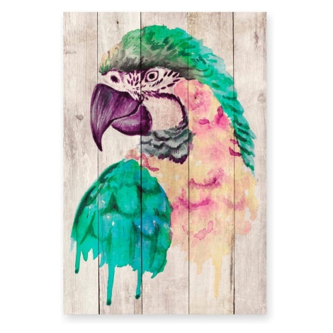Nástenná dekorácia z borovicového dreva Madre Selva Watercolor Parrot, 60 × 40 cm