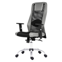 Sconto Kancelárska stolička HARDING čierna/sivá