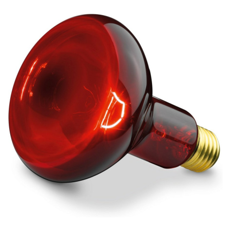 Beurer BEU-INFRA100W žiarovka pre infračervenú lampu