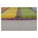 Ručně všívaný běhoun Illusion Candy Multi - 60x300 cm Flair Rugs koberce