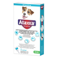 ATAXXA 500 mg/100 mg psy od 4kg do 10 kg roztok 1 ml