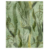 MINDTHEGAP Aquatic Plants