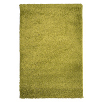 Kusový koberec Efor Shaggy 1903 Green - 200x290 cm Mono Carpet