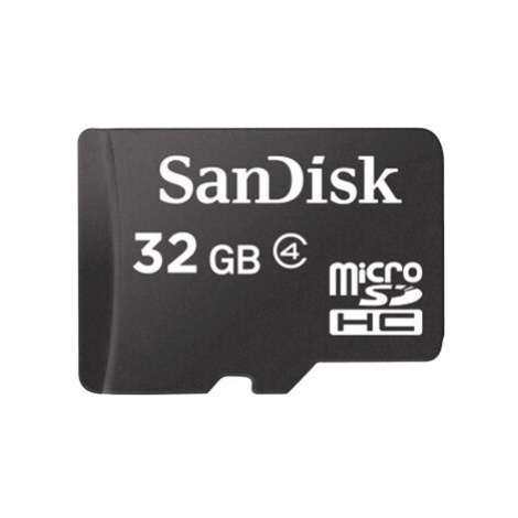 SanDisk microSDHC 32 GB class