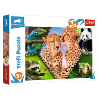 Trefl Puzzle 100 dielikov -  Krása prírody / Discovery Animal Planet