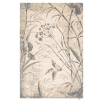 Krémovobiely vlnený koberec 200x300 cm Botany – Agnella