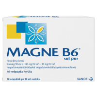 MAGNE B6 10 ml 10 ampúl