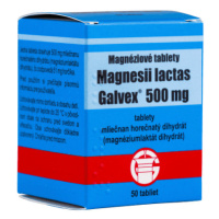 MAGNESII Lactas 500 mg 50 tabliet