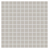Mozaika Rako Color Two šedá 30x30 cm mat GDM02110.1