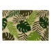 Rohožka z kokosového vlákna 60x40 cm Tropicalia – Casa Selección