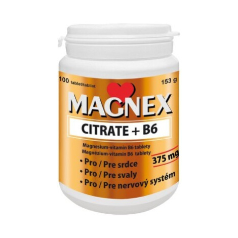 VITABALANS Magnex citrate + B6 100 tabliet