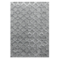 Kusový koberec Pisa 4702 Grey Rozmery kobercov: 80x150