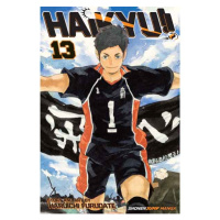 Viz Media Haikyu!! 13