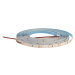 DAISY LED STRIP 60LED/m IP20 NW 30m 4W/m - LED pásek